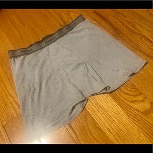 Hanes Briefs